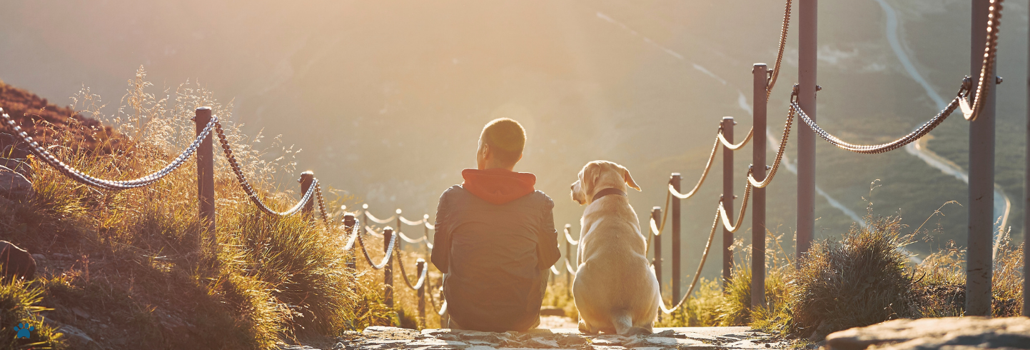 best vet Alpharetta